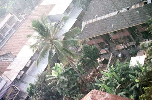 ��ɳ��š &nbsp; (-)