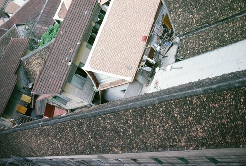 �Ҿ�ҡ����٧ &nbsp; (-)