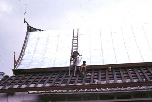 ����ѧ�� ����Ż� ����Է�������Żҡ� &nbsp; (-)