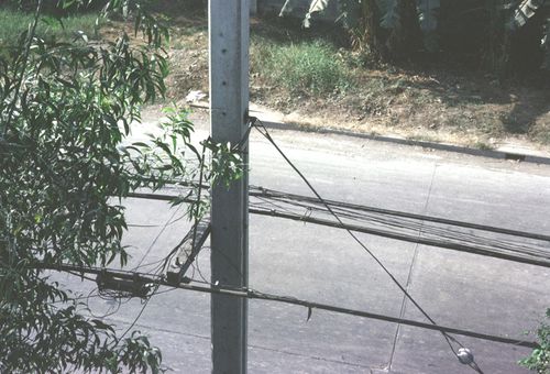 [����ժ���] &nbsp; (-)