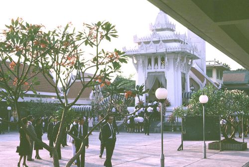 ���ླ���Ⱦ &nbsp; (-)