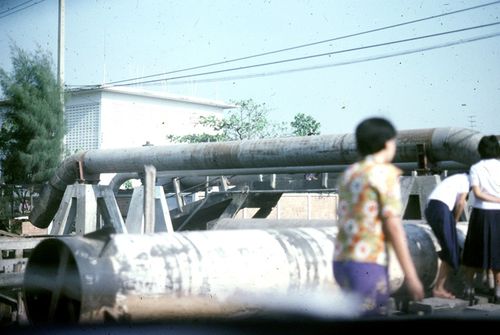 [����ժ���] &nbsp; (-)