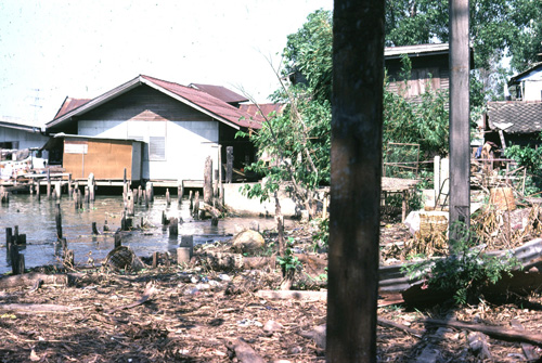 ��������Ѵ &nbsp; (-)