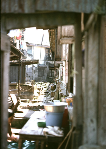 [����ժ���] &nbsp; (-)