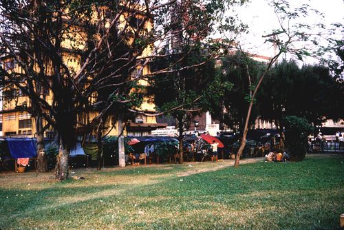 ����ǳ͹����������������� &nbsp; (-)