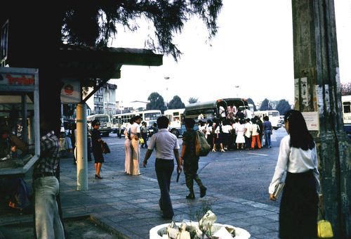 ����ǳ͹����������������� &nbsp; (-)