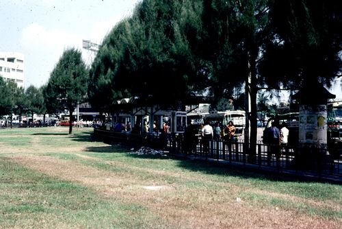 ����ǳ͹����������������� &nbsp; (-)