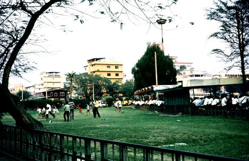 ����ǳ͹����������������� &nbsp; (-)