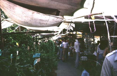 ����ǳ��ا�ѵ���Թ��� (��鹹͡-����) &nbsp; (-)