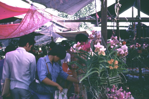 ����ǳ��ا�ѵ���Թ��� (��鹹͡-����) &nbsp; (-)