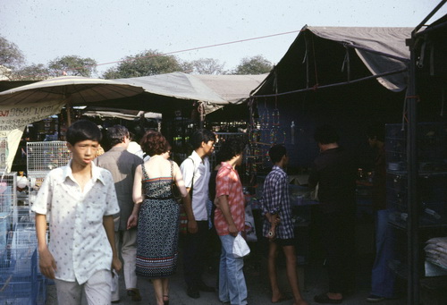 ����ǳ��ا�ѵ���Թ��� (��鹹͡-����) &nbsp; (-)