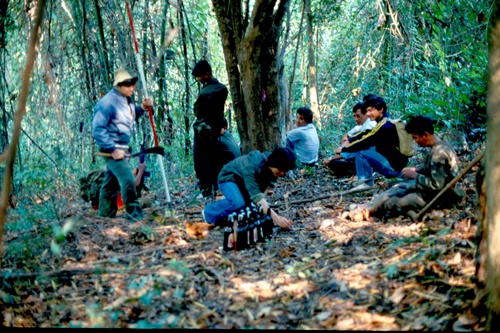 �Ҿ��¹�����¡�͹����ѵ���ʵ�������ٻ ������ �.���¤ �.�ҭ������ &nbsp; (-)