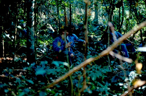 �Ҿ��¹�����¡�͹����ѵ���ʵ�������ٻ ������ �.���¤ �.�ҭ������ &nbsp; (-)