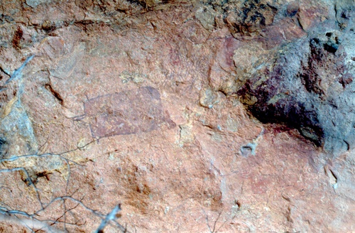 �Ҿ��¹�����¡�͹����ѵ���ʵ�������ٻ ������ �.���¤ �.�ҭ������ &nbsp; (-)