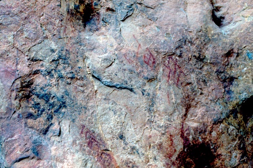 �Ҿ��¹�����¡�͹����ѵ���ʵ�������ٻ ������ �.���¤ �.�ҭ������ &nbsp; (-)