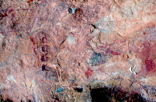 �Ҿ��¹�����¡�͹����ѵ���ʵ�������ٻ ������ �.���¤ �.�ҭ������ &nbsp; (-)