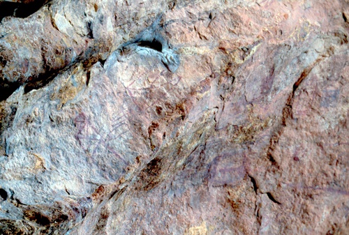 �Ҿ��¹�����¡�͹����ѵ���ʵ�������ٻ ������ �.���¤ �.�ҭ������ &nbsp; (-)