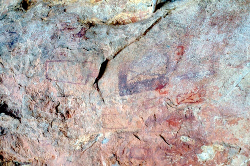 �Ҿ��¹�����¡�͹����ѵ���ʵ�������ٻ ������ �.���¤ �.�ҭ������ &nbsp; (-)