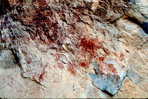 �Ҿ��¹�����¡�͹����ѵ���ʵ�������ٻ ������ �.���¤ �.�ҭ������ &nbsp; (-)