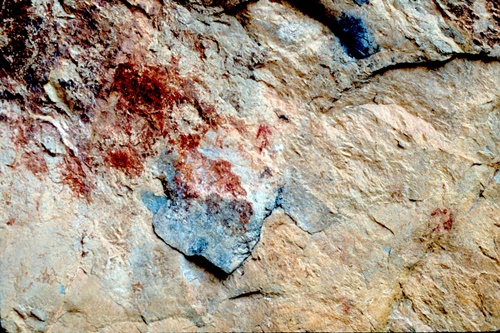 �Ҿ��¹�����¡�͹����ѵ���ʵ�������ٻ ������ �.���¤ �.�ҭ������ &nbsp; (-)