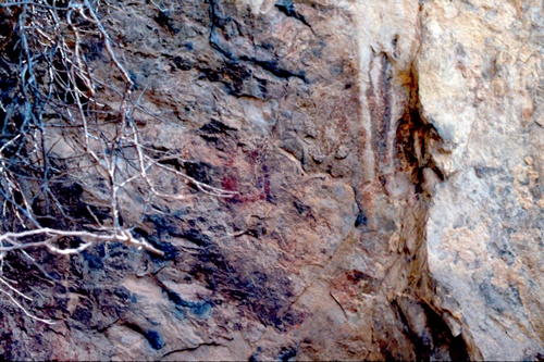 �Ҿ��¹�����¡�͹����ѵ���ʵ�������ٻ ������ �.���¤ �.�ҭ������ &nbsp; (-)