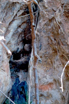 �Ҿ��¹�����¡�͹����ѵ���ʵ�������ٻ ������ �.���¤ �.�ҭ������ &nbsp; (-)