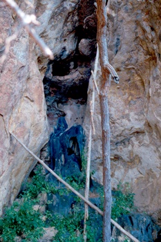 �Ҿ��¹�����¡�͹����ѵ���ʵ�������ٻ ������ �.���¤ �.�ҭ������ &nbsp; (-)