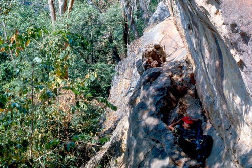 �Ҿ��¹�����¡�͹����ѵ���ʵ�������ٻ ������ �.���¤ �.�ҭ������ &nbsp; (-)