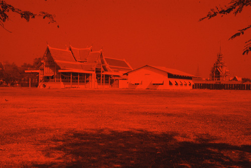 ���������� : ���稾�йҧ�����侾�óվ�к���ҪԹչҶ��Ѫ��ŷ�� 7