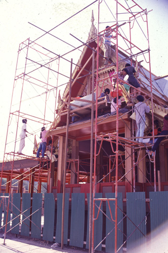 ���������� : ���稾�йҧ�����侾�óվ�к���ҪԹչҶ��Ѫ��ŷ�� 7