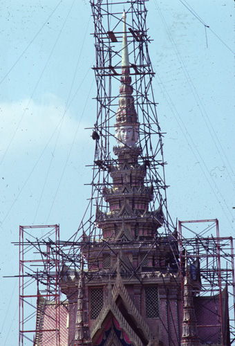 ���������� : ���稾�йҧ�����侾�óվ�к���ҪԹչҶ��Ѫ��ŷ�� 7