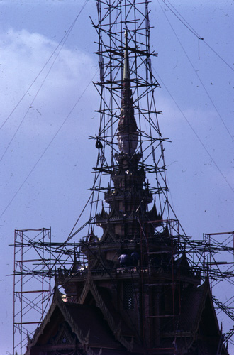 ���������� : ���稾�йҧ�����侾�óվ�к���ҪԹչҶ��Ѫ��ŷ�� 7