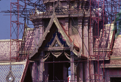 ���������� : ���稾�йҧ�����侾�óվ�к���ҪԹչҶ��Ѫ��ŷ�� 7