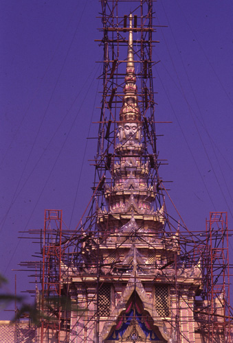 ���������� : ���稾�йҧ�����侾�óվ�к���ҪԹչҶ��Ѫ��ŷ�� 7