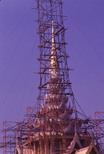 ���������� : ���稾�йҧ�����侾�óվ�к���ҪԹչҶ��Ѫ��ŷ�� 7