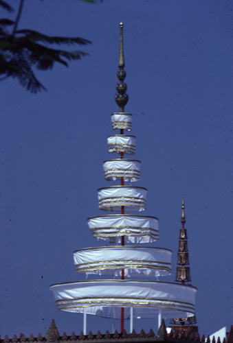 ���������� : ���稾�йҧ�����侾�óվ�к���ҪԹչҶ��Ѫ��ŷ�� 7