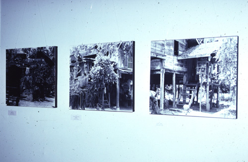 �Է��ȡ�����͹�������㹨ѧ��Ѵ���ᴹ�Ҥ��