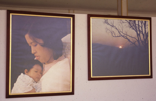 �����ʹ������õ��ѹ�Ѫ�ѧ������ɡ 1-10 �.�. 2531