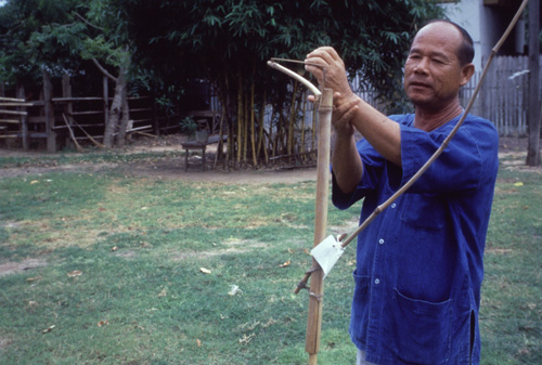 ���ͧ�ͧ��