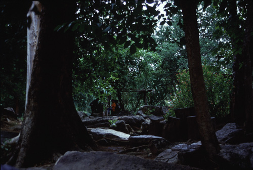 ���ͧ�ͧ��