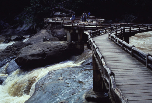 ���ͧ�ͧ��