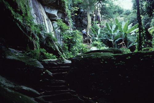 ���ͧ�ͧ��