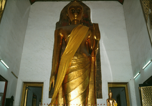 ��оط��š�Ҷ �Ѵ���વؾ��