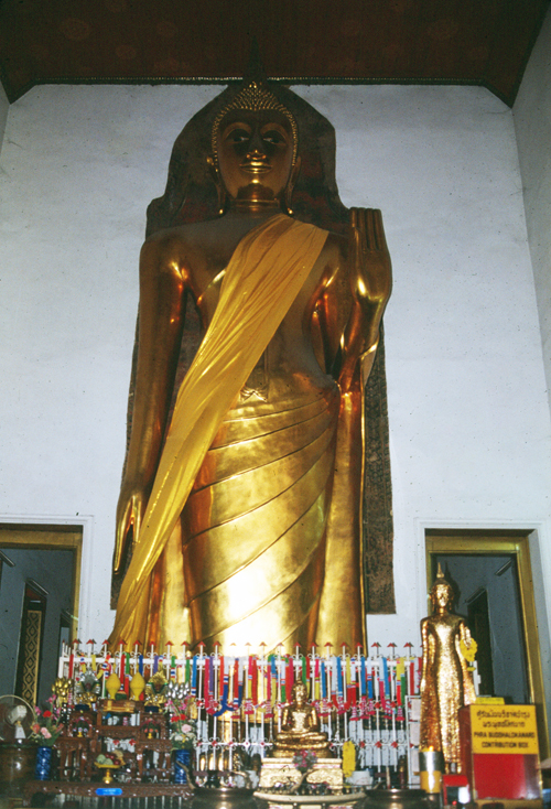 ��оط��š�Ҷ �Ѵ���વؾ��