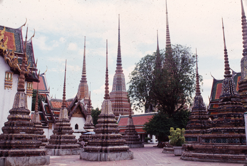 ਴����Ѵ���વؾ��