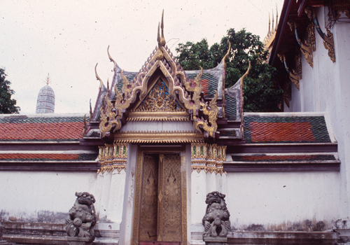 �Ѵ���વؾ��