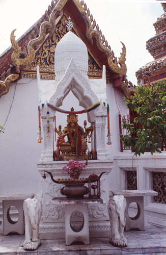 �Ѵ���વؾ��