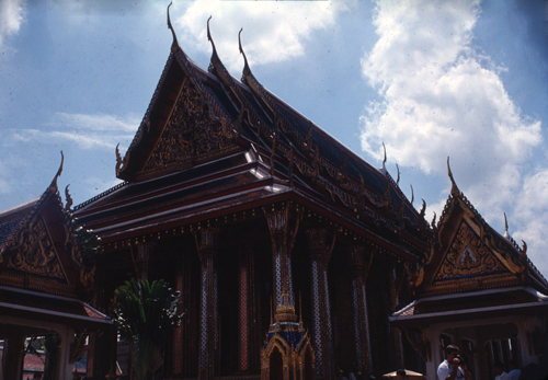 �Ѵ���વؾ��