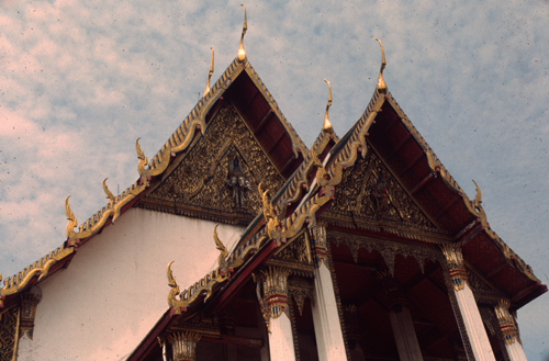 �Ѵ���વؾ��