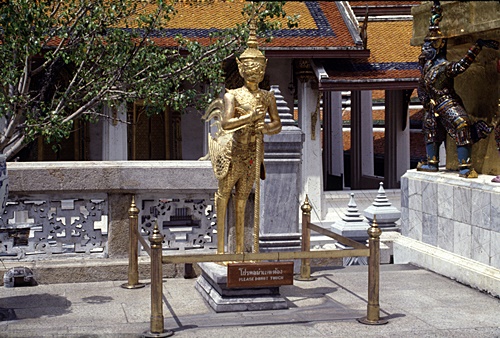 �Ѵ�������ѵ���ʴ���� &nbsp; (-)